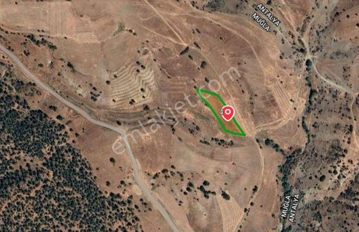 Goldhouse Dan Satılık Müstakil Tapulu Tarla 2.754 M2