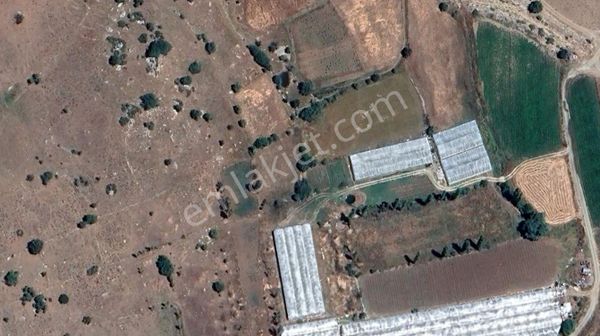 Goldhouse Dan Satılık Seydikemer De 792 M2 Müstakil Tapulu Tarla