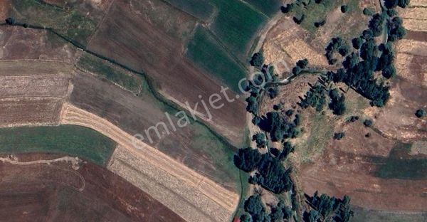 Goldhouse Dan Satılık Seydikemer De 813 M2 Müstakil Tapulu Tarla