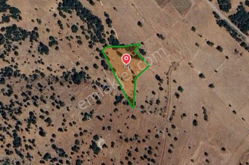 Goldhouse Dan Satılık Seydikemer De 3.090 M2 Müstakil Tapulu Tarla