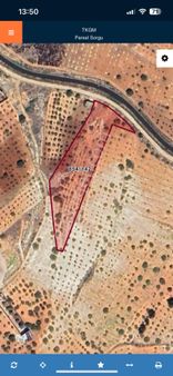 Oğuzeli Gürsuda Resmi Yol Üzeri Tek Tapu Fıstık Zeytin Bağevlik Arazi