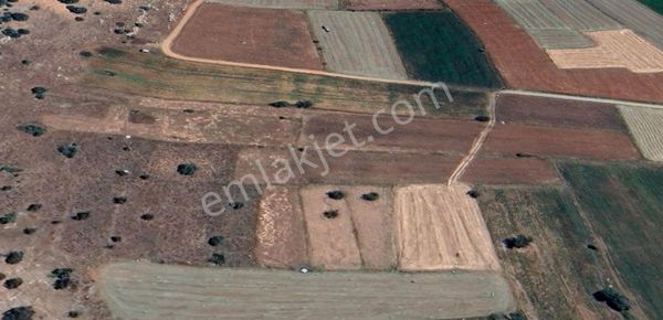 Goldhouse Dan Satılık Seydikemer De 916 M2 Müstakil Tapulu Tarla