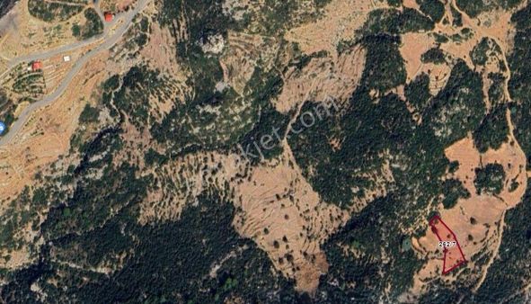 Goldhouse Dan Satılık Fethiye Karaağaç Da 2549 M2 Arsa