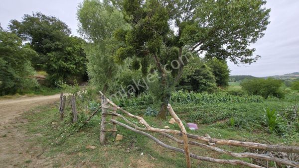 Yıldız Gibi Fırsat! Kozanova'dan Kaynarca'da 1671 M² İmarlı Arsa