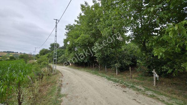 Yıldız Gibi Fırsat! Kozanova'dan Kaynarca'da Yollu - İmarlı Arsa