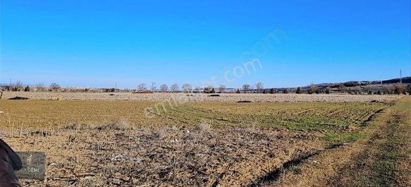 Akademi Emlak'tan Yusuflar'da Satılık Yatırımlık Tarla