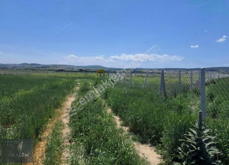 Akademi'den Yenişehir Konakları Karşısı Satılık Hobi Bahçeleri