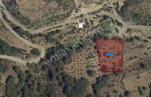 Fatoş Emlak'tan Muğla Dalaman Bozbel Mah 4157 M2 Tarla