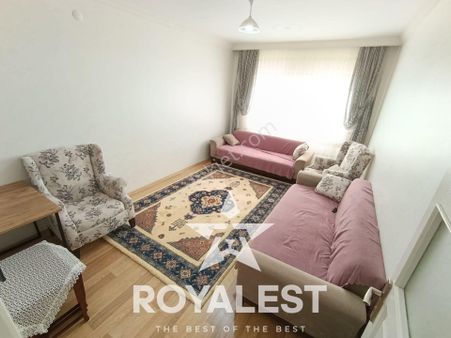 Royalest'ten Ara Kat Park Cepheli Fırsat 2+1!!!