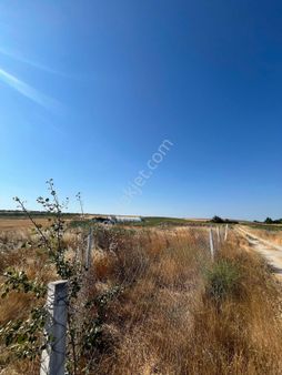 Değirmenköyde Tel İle Çevrili Yolu Açık 1250m2 Arazi