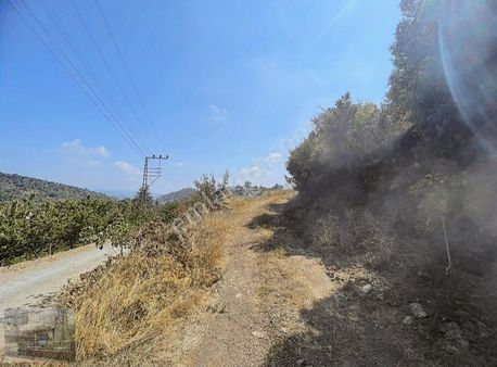 Taha Gayrimenkul Den Satılık 3 Âdet Parseller