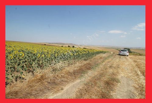 Mimar Sinan Caddesine 150m Mesafede 75.350m2 Uygun Fiyatlı Tarla