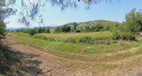 Gokhasanlida Sulu Tek Tapu 10 Donum Tarla