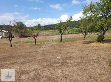 Bursa İznik Elmalı Mahallesinde 701m2 Doğa İle İçiçe İmarlı Arsa