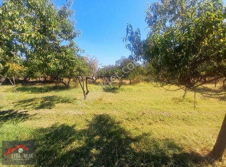 !!! Cennetayağında Mükemmel Satılık 4700 M2 Bahçe!!!