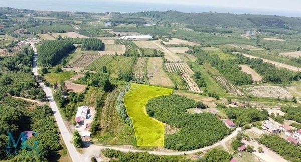 Köy İçinde Yola Cepheli Satılık Açık Arazi