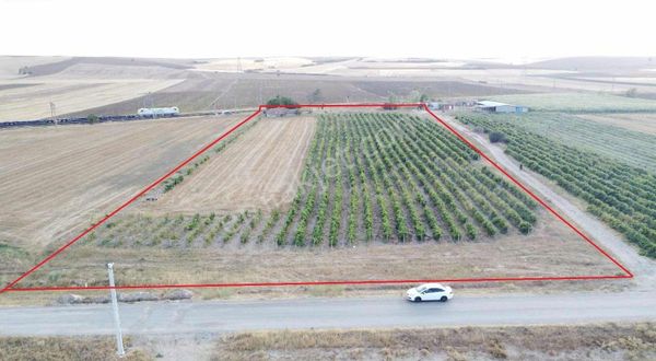 **lüleburgaz Satılık 18.400 M² Asfalt Parsel Üzüm Bağı Fırsat**
