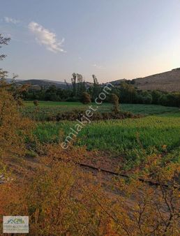 Balıkesir İvrindi İlçesi Çukurlar Mah Yola Cepheli Satılık Tarla