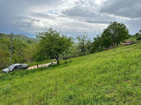 Biga Elmalı Köyüde Satılık Yatırıma Uygun Arsa