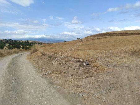 Tokat Erbaa Değirmenli De Satılık 7.600 M2 Tek Tapu Yola Sıfır Arazi