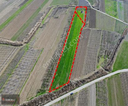 Satılık Arsa Pamukova Cihadiyede Yatırımlık Fırsat