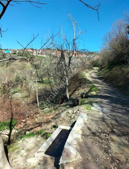 Köy Dibinde Resmi Yola Cepheli, 8850 M2 Tarla