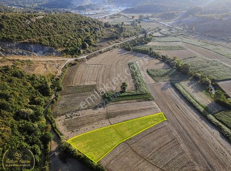 Kandıra Kızılcapınarda Yatırımlık Fırsat Arazisi