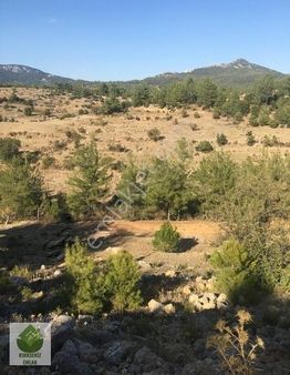 Muğla Menteşe Sarnıç'ta Satılık 5127 M² Satılık Tarla...