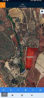 Daimi Taşkın Gayrimenkul'den İznik Tacir Köyünde Satılık Tarla