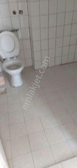 Yüksek Kat Sevenlere