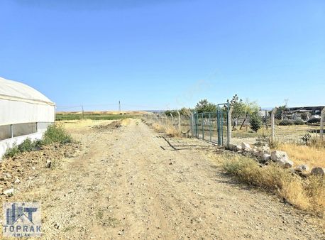 Toprak Emlaktan Sakintepe Mh.satılık Tarla Bahçe Yeri