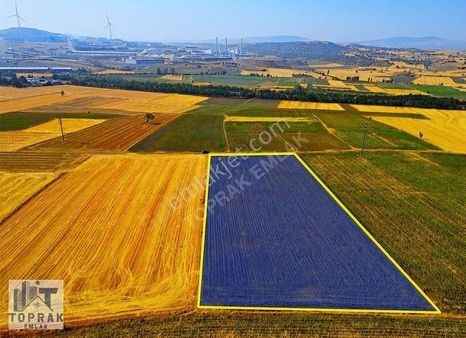 Bozüyük Osb Karşısı Mor Alanda Yatırımlık Düzgün Arazi