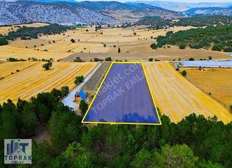 Bozüyük'e 10 Dk. Bungalov Ve Hobi Bahçesine Uygun Arazi