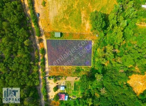 Çaydere'de Orman Ve Dere Arasında Resmi Yola Cephe Arazi