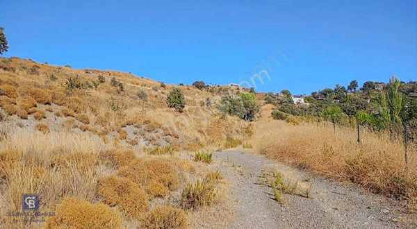 Seferihisar Tepecik'de Satılık Tarla