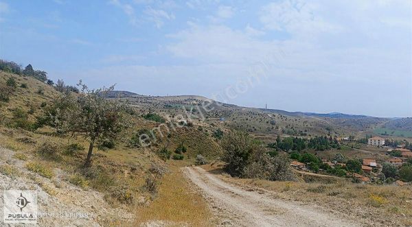 Pusula'dank.kazan Kılıçlar'da Kupon 4 Adet Tarla Tek Fiyat