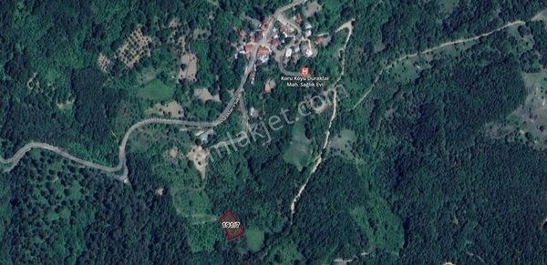 Sakarya Geyve Koru'da İmar Dibinde 1312 M2 Fındıklık