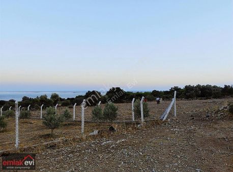 Aydın Söke Doğanbey De Deniz Manzaralı Müthiş Bir Tarla