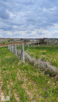 Kapaklı Karlı Da Satılık 405m2 Hisseli Tapu