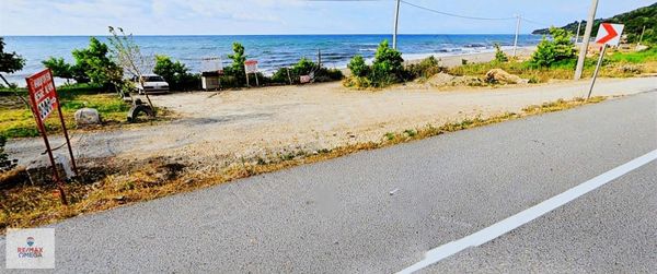 Satılık Deniz Kıyısında Fındık Bahçesi