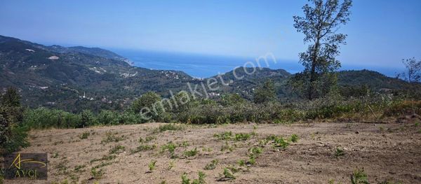 Avcı Gayrimenkul'den Saray'da Satılık 2 Dönüm Arsa