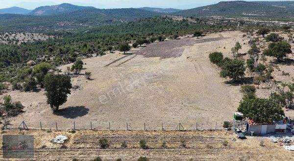 Zeki Emlak'tan Yunusemre Karaveliler Mh. 13.650 M² Satılık Tarla