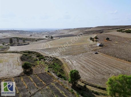 Bu Fırsat Kaçmaz Silivri Değirmenköy'de 1460m2 Yerimiz Satılık..