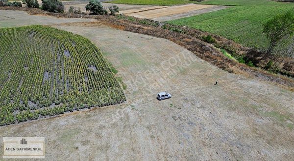 Saray Beyazköy'de Sanayi Bölgesi Lokasyonunda Fırsat Kupon Arazi