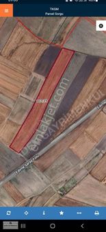 Tekirdağ Saray Bahçedere Anayola 1 Tarla 4.392 M2 Hisse
