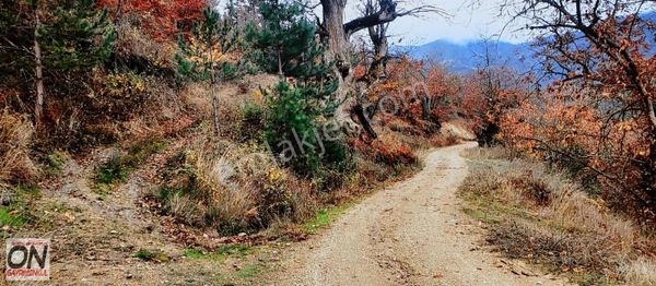 Bigadiç Aşağı Çamlı Da Yol Ve Su Problemi Olmayan Satılık Tarla