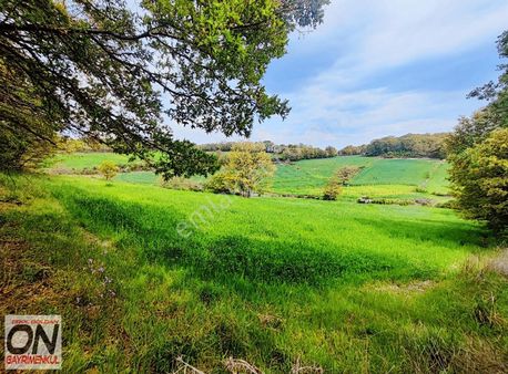Balıkesir İvrindi Sarıpınar Mah De İki Taraftan Yola Cephe Tarla