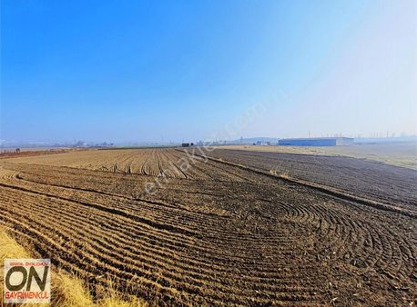 Balıkesir Bursa Karayolu Yanında Köseler Mah Satılık Tarla