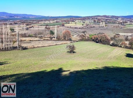 Savaştepe Cumhuriyet Mahallesinde Yola Cephe Satılık 19 D Tarla