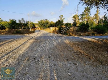 Ertaş Emlak Tan Kavak Çivril De Yatırımlık Tarlalar